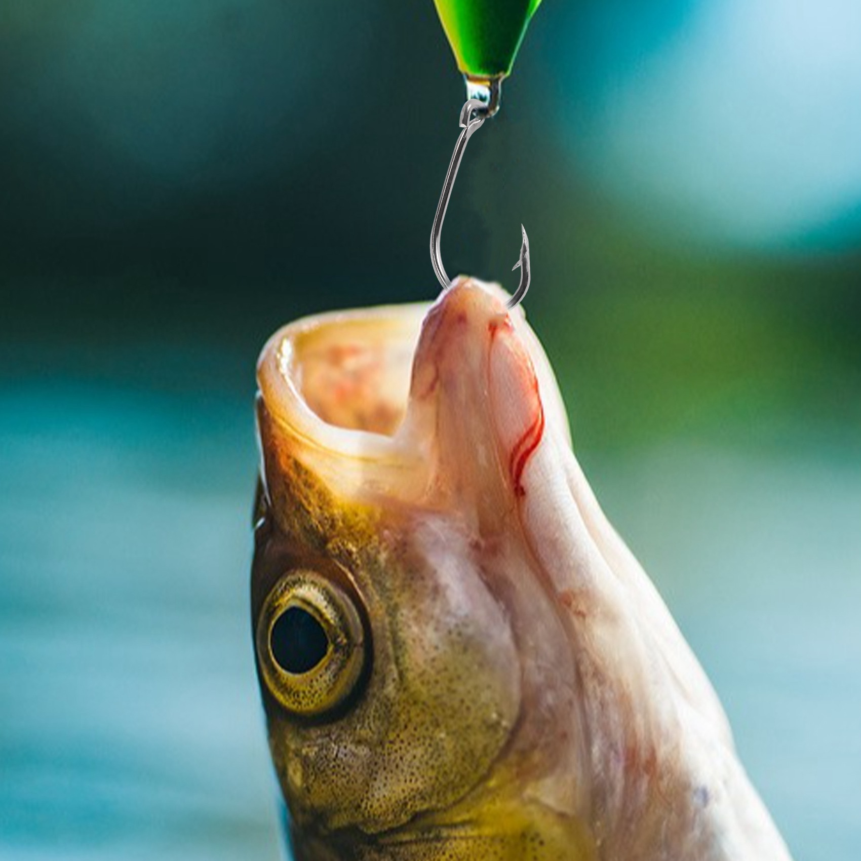 وصول جديد 500 قطعة/مجموعة بأحج - مراجعة Fishing Hook Box وسعره
