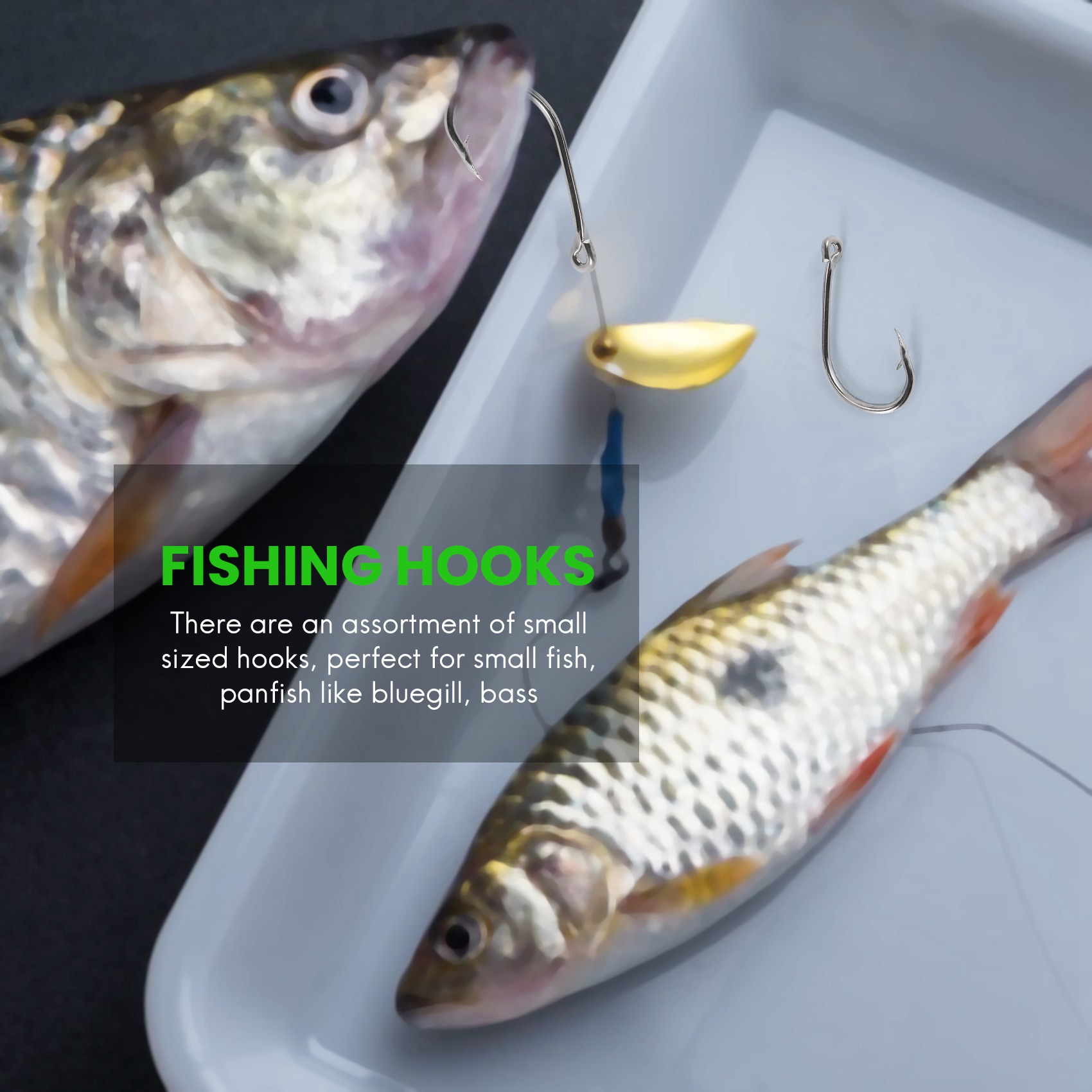 وصول جديد 500 قطعة/مجموعة بأحج - مراجعة Fishing Hook Box وسعره